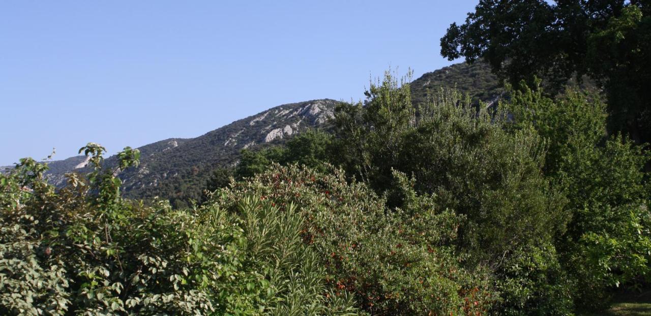 Hestia Bed and Breakfast Robion en Luberon Exteriör bild